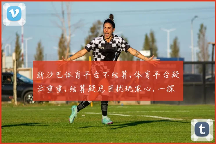 新沙巴体育平台不结算,体育平台疑云重重,结算疑虑困扰玩家心,一探究竟